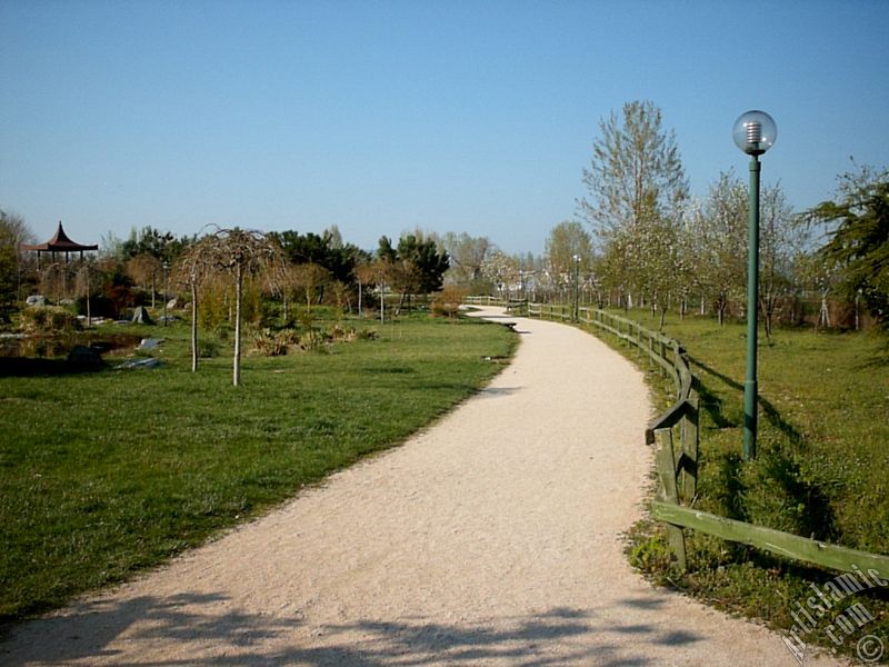 View of Botanical Park in Bursa city of Turkey.
