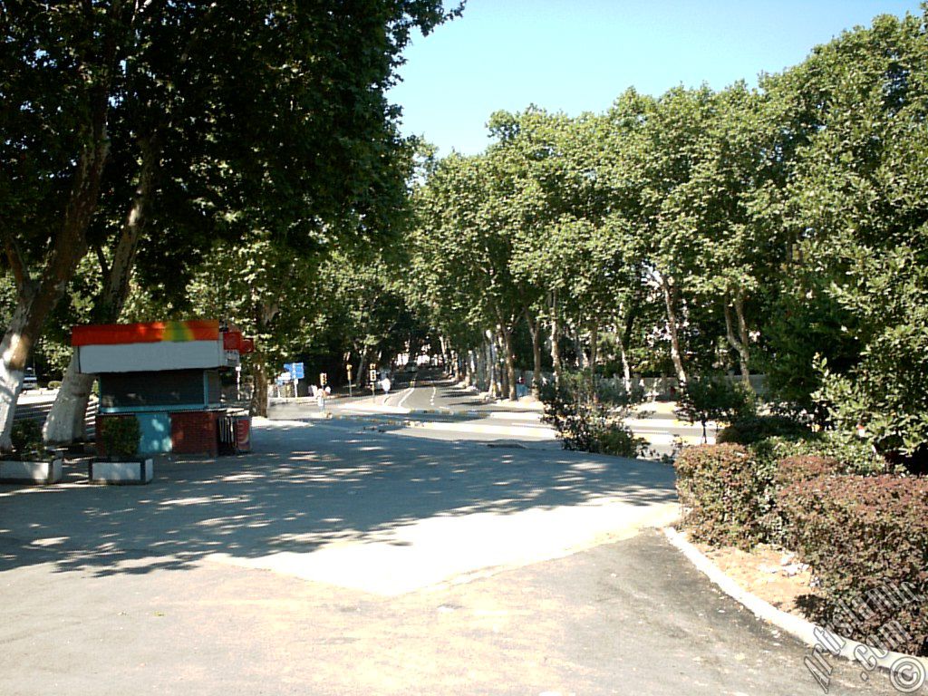 View towards Besiktas district from Dolmabahce district in Istanbul city of Turkey.
