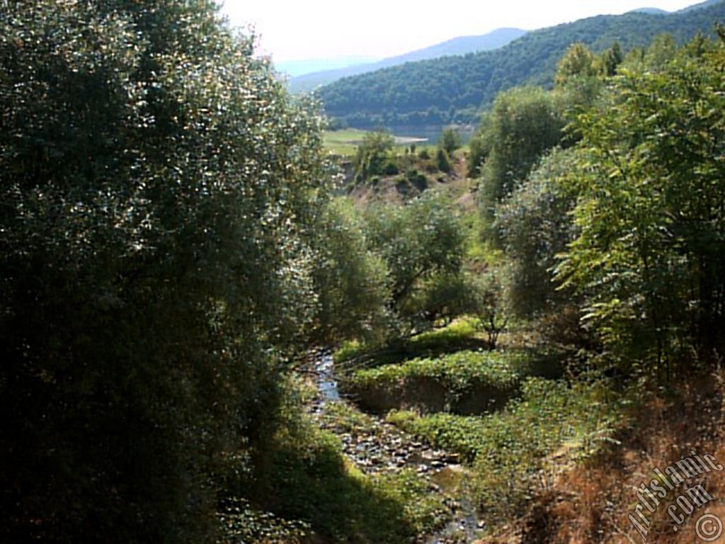 View of Termal-Gokcedere Village in Yalova city of Turkey.

