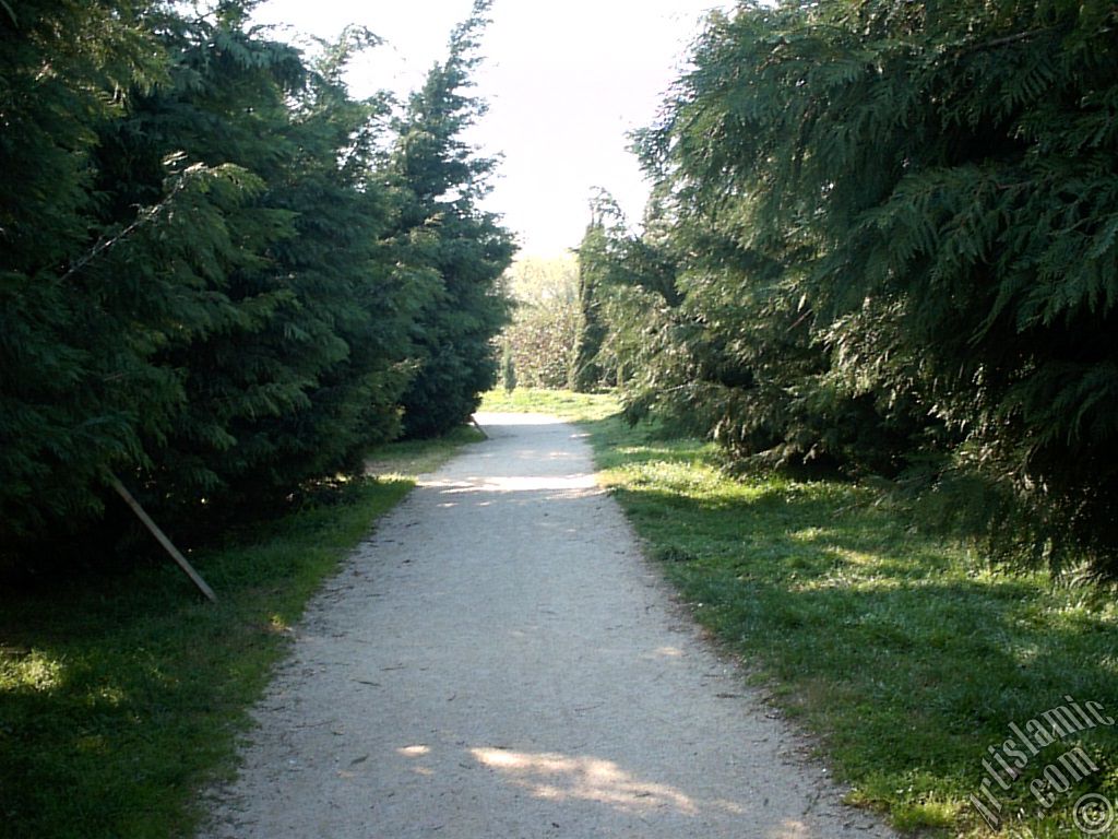 View of Botanical Park in Bursa city of Turkey.
